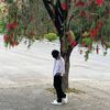 hamdan2774