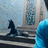 abdellah_92aa