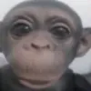 willakil.xet
