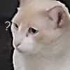 cagueizinho