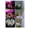 vanic_883