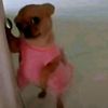 idk_you_buddy_0