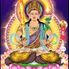 ngvnh082