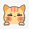 thejoyofcats0