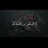 tarekabozead97