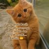 tytaaa128