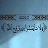 user4606299070706