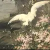 latenovembernight
