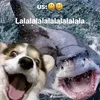 user2308296741773