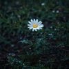khadija.m785