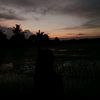 lisa.septiani.sihombing
