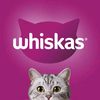 whiskey_1408