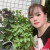 hoathai104
