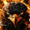 eagleww4