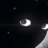 ___chipizdr1k___
