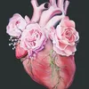 dlshad_hussain