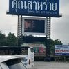 tanin2505