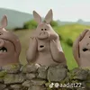 hanhtr_n
