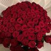 user41744767331687