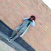 brenda.mbendera