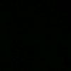 elif81263