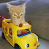 metroidv13
