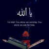 hafseey_borno