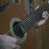 xoshawistibagirfana