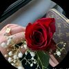 bilal.mehar4074