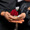 fatima.nofal4