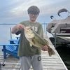 fishmbb