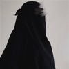 Hidden_lady