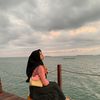 butterfly_11222.2