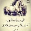 user8192883111845
