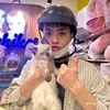 nguynnemm2