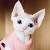 Pet_Lover💕