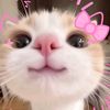 kim.hena43