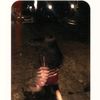 ness_piw
