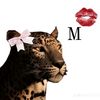 malak.ahmed0033