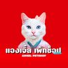 angel.petshop
