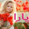 user783698319945