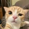 user19383039_