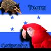 crishernandez0172