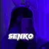 senko00.1