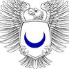 eagle_ofzayyanidkingdom