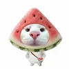 jangyibojoo