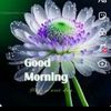 shreya84662