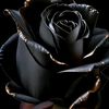 user9013614997865