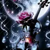 dykr16031343