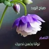 user86590528507580